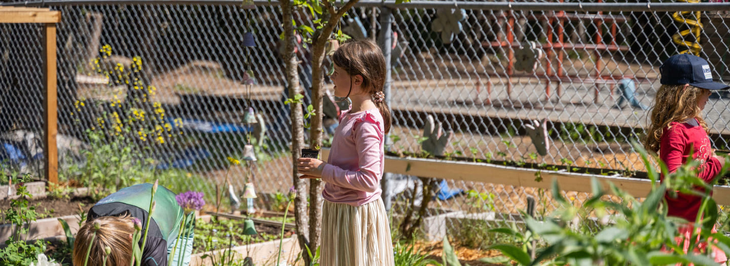 Cumberland Community School Society helps teach gardening to children.